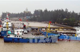 Đón Tết cùng ngư dân vùng bị ảnh hưởng bởi sự cố môi trường biển